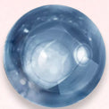 Hydrolyzed Hyaluronic Acid