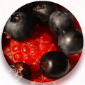 Berry Extracts + Fragrance