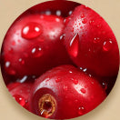 Alpha-Arbutin