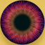 Retinal